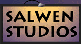Salwen Studios: Graphic Design